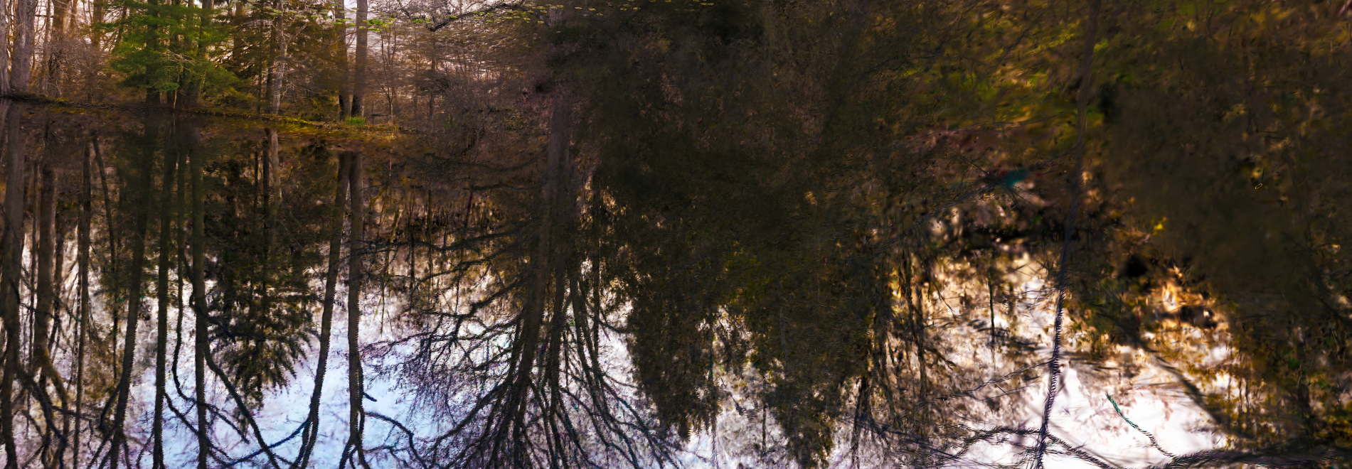 the reflection